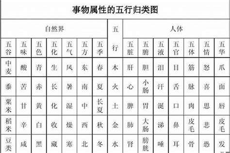 畯五行|楒字的五行属性是什么？ 跪求！！！！！